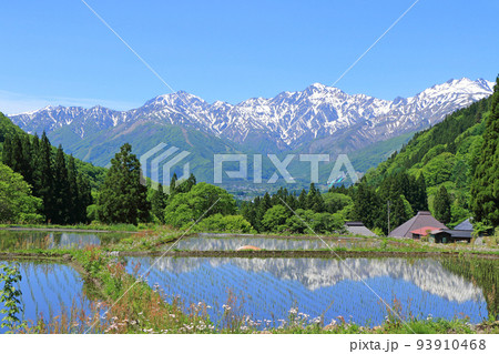 信州白馬　青鬼の5月 93910468