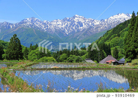 信州白馬　青鬼の5月 93910469