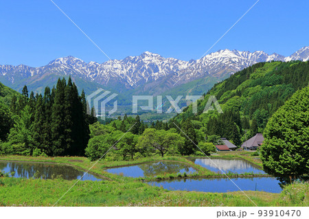 信州白馬　青鬼の5月 93910470