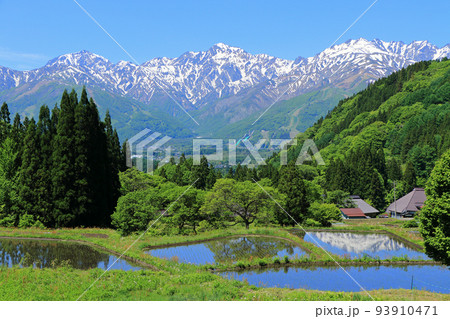 信州白馬 青鬼の5月 信州白馬 青鬼の5月 93910471