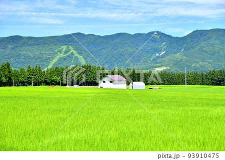 津南町 中子ダム付近よりさかえ倶楽部スキー場方面を望む(新潟県津南町)【2022.8】 津南町 中子ダム付近よりさかえ倶楽部スキー場方面を望む(新潟県津南町)【2022.8】 93910475