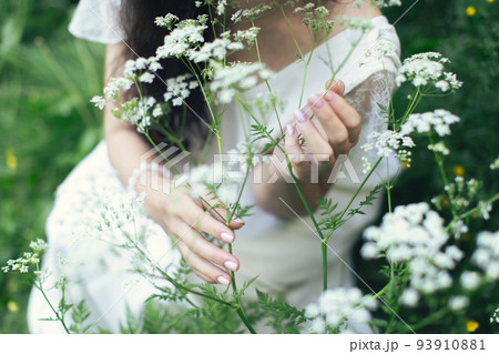 A woman in a white dress surrounded by nature and white flowers of Aegopodium podagraria. Front view. 93910881