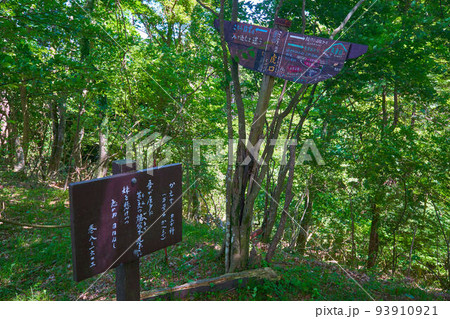 神奈川県南足柄市の万葉公園から矢倉岳に向かう登山道の途中にある虎ノ口(とらのくち)分岐道標 神奈川県南足柄市の万葉公園から矢倉岳に向かう登山道の途中にある虎ノ口(とらのくち)分岐道標 93910921