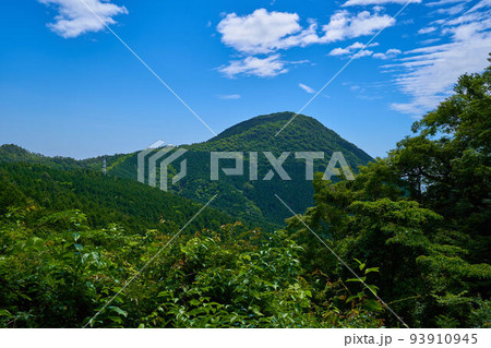 神奈川県南足柄市の万葉公園から矢倉岳に向かう登山道から矢倉岳を見る 93910945