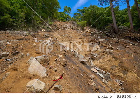 南足柄市の万葉公園から矢倉岳に向かう(令和元年台風19号にて)崩落した登山道(尾根方面) 93910947