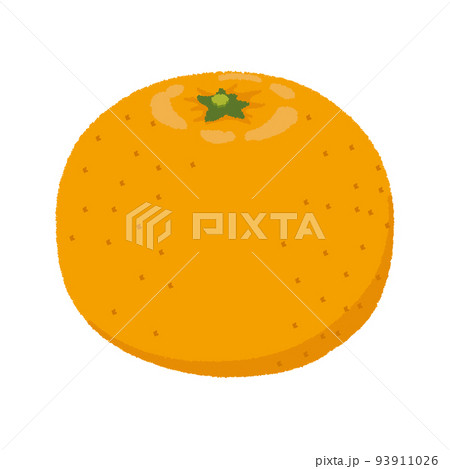 みかんのイラスト 93911026