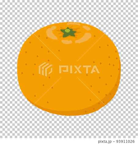 Illustration of mandarin orange 93911026