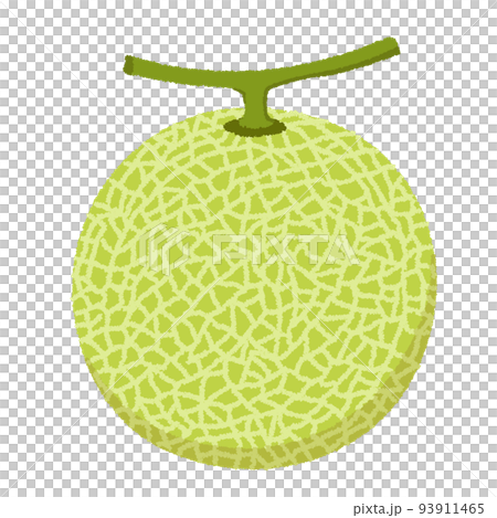 メロンのイラスト メロンのイラスト 93911465