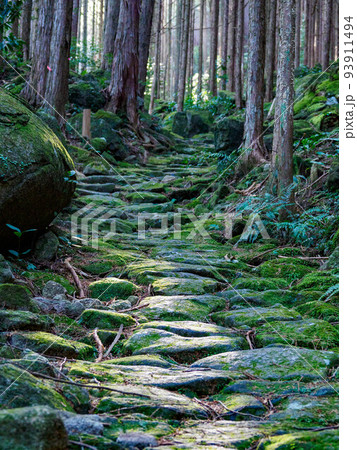 世界遺産熊野古道八鬼山石畳道 93911494