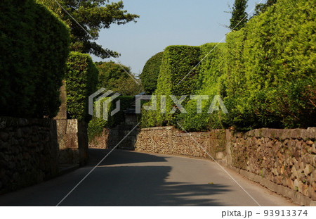 植え込みの美しい知覧武家屋敷通り 93913374