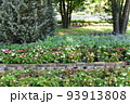 栃木の名所　足利フラワーパークの風景 93913808