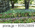 栃木の名所　足利フラワーパークの風景 93913809