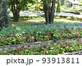 栃木の名所　足利フラワーパークの風景 93913811