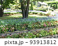 栃木の名所　足利フラワーパークの風景 93913812