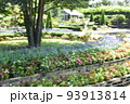 栃木の名所　足利フラワーパークの風景 93913814
