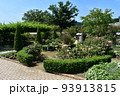 栃木の名所　足利フラワーパークの風景 93913815