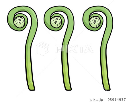 ゼンマイのイラスト 93914937