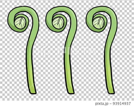 ゼンマイのイラスト 93914937