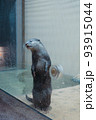 カワウソ 93915044