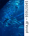 水族館 93915045