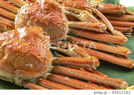 新鮮で美味しいズワイ蟹 新鮮で美味しいズワイ蟹 93915262
