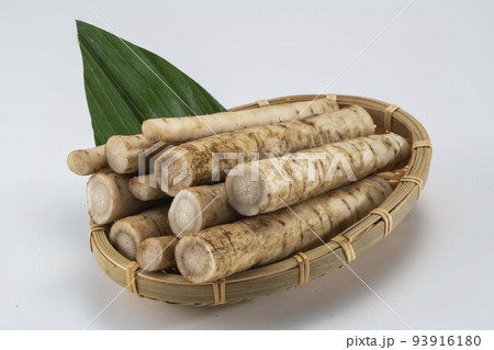 新鮮な牛蒡 新鮮な牛蒡 93916180