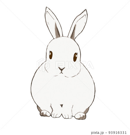 うさぎのイラスト  白ふち 93916331