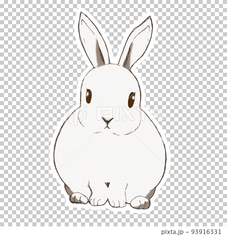 うさぎのイラスト  白ふち 93916331