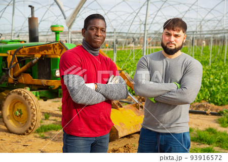 Portrait of two professional gardeners standing near tractor in greenhouse Portrait of two professional gardeners standing near tractor in greenhouse 93916572