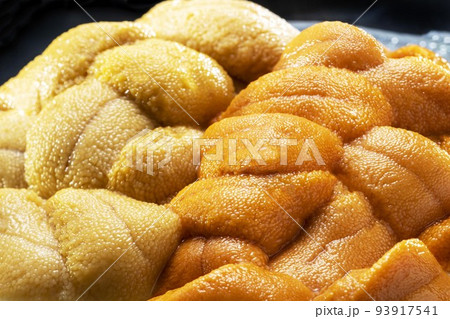 新鮮で美味しいウニ料理 新鮮で美味しいウニ料理 93917541