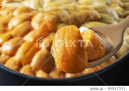 新鮮で美味しいウニ料理 新鮮で美味しいウニ料理 93917551