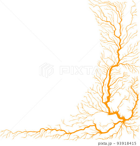 Abstract square shape illustration of tree roots.のイラスト素材 [93918415] - PIXTA