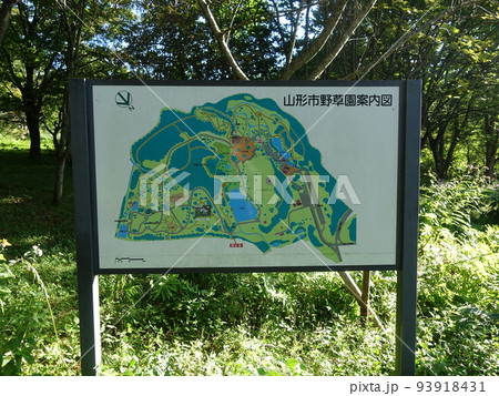 野草園　山形市 93918431