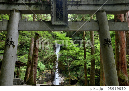 投石の滝 【奈良県東吉野村瀧野】 投石の滝 【奈良県東吉野村瀧野】 93919050