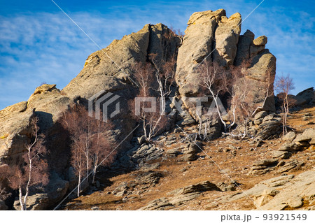 モンゴルの初冬の景色 93921549