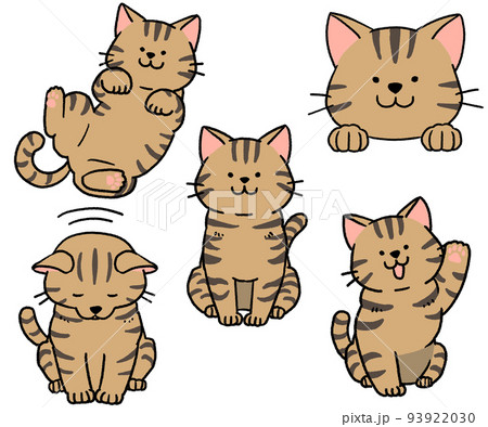 キジトラ猫のセット 93922030