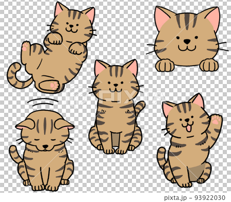 キジトラ猫のセット 93922030