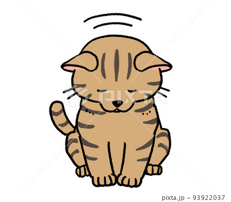 辞儀しているキジトラ猫 93922037