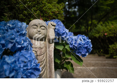 地蔵と紫陽花 地蔵と紫陽花 93922257