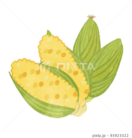 沢山のかわいいとうもろこしのイラスト 93923322