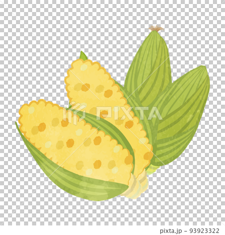 沢山のかわいいとうもろこしのイラスト 93923322