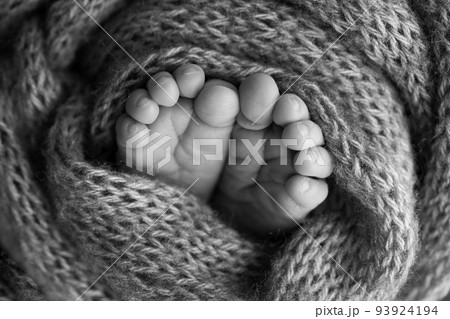 Soft feet of a newborn in a woolen blanket Close-up of toes, heels and feet of a baby.The tiny foot of a newborn. Baby feet covered with isolated background. Black and white studio macro photography Soft feet of a newborn in a woolen blanket Close-up of toes, heels and feet of a baby.The tiny foot of a newborn. Baby feet covered with isolated background. Black and white studio macro photography 93924194