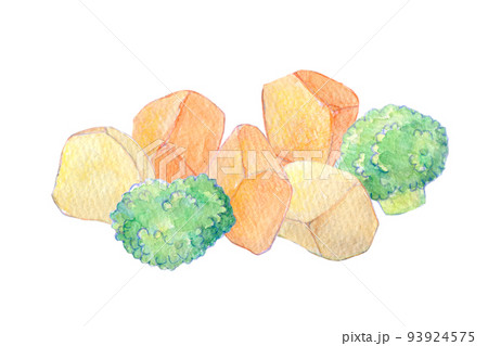 水彩イラスト　カット野菜 93924575