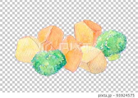 水彩イラスト　カット野菜 93924575