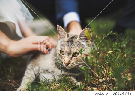Young guy and girl petting a cute cat on the street 93924745