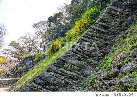 和歌山城の石垣 93925654