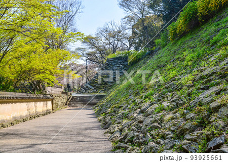 和歌山城 登り口 和歌山城 登り口 93925661