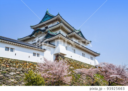 和歌山城天守閣 和歌山城天守閣 93925663