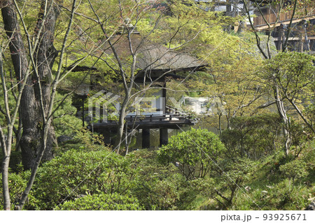和歌山城 内堀と鳶魚閣 和歌山城 内堀と鳶魚閣 93925671