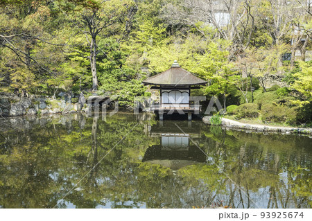 和歌山城　内堀と鳶魚閣 93925674